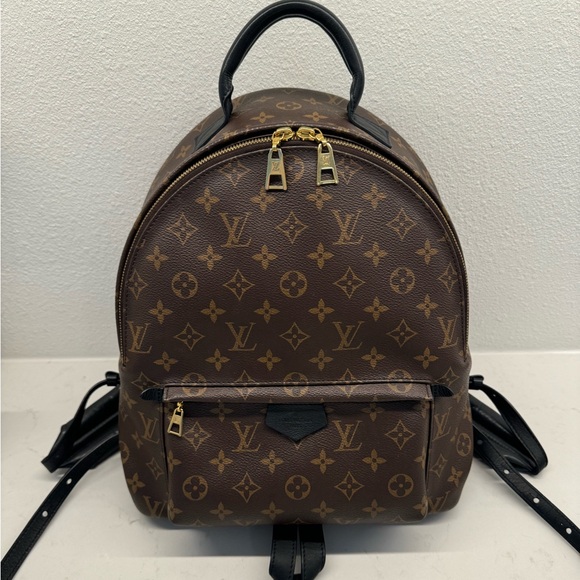 Louis Vuitton Palm Springs MM bag backpack - Picture 1 of 16